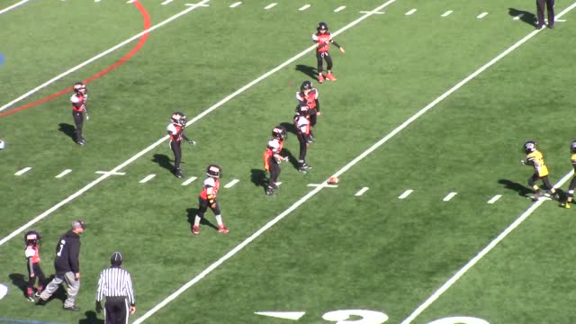 Bpjf Termite Black Bethel Park Blackhawks Bethel Park