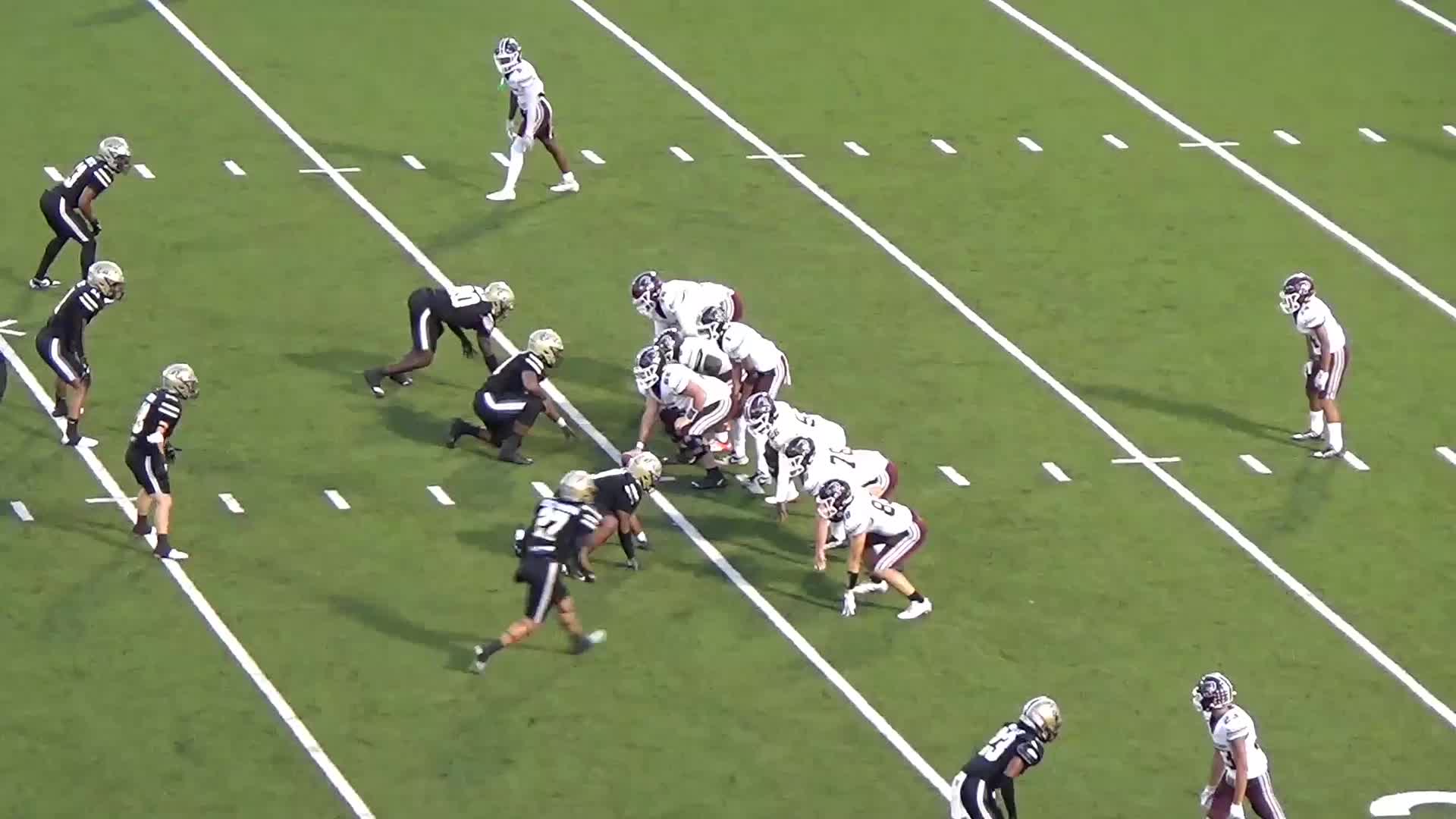 Sophomore Highlights