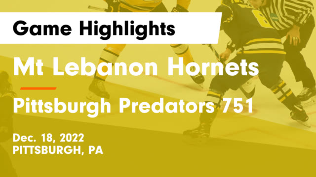 Mt. Lebanon Hornets Hockey