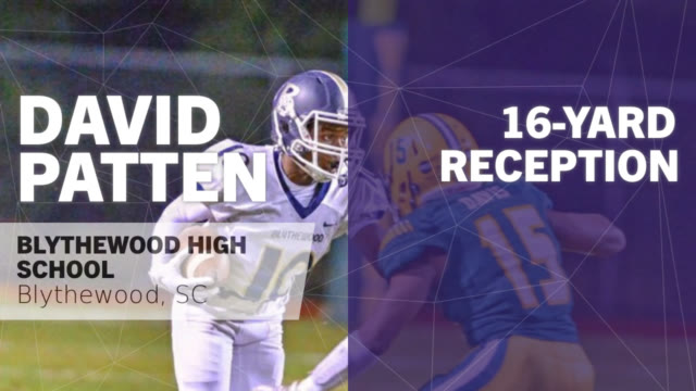 David patten stats