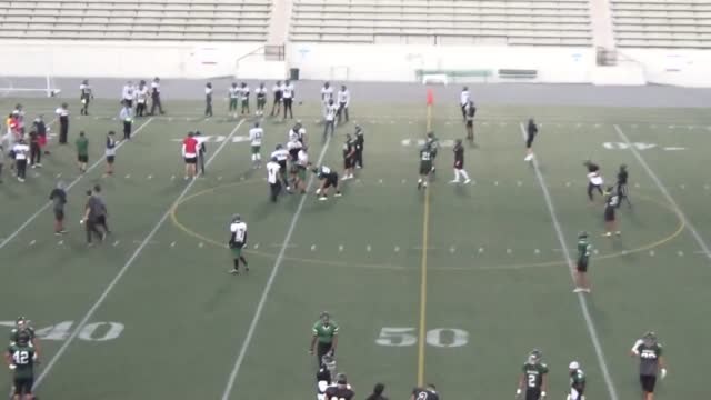 Toni Harris Hudl
